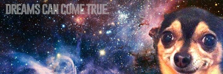 𝙳𝚖𝚢𝚝𝚛𝚘 𝙻𝚢𝚝𝚘𝚟𝚌𝚑𝚎𝚗𝚔𝚘 banner