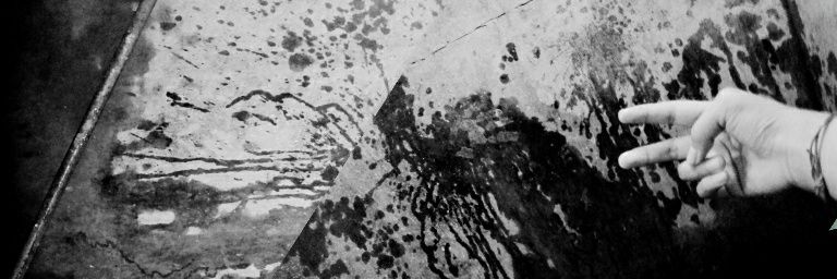 ainunshabil's profile banner image