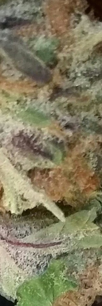 pottopicks's profile banner image