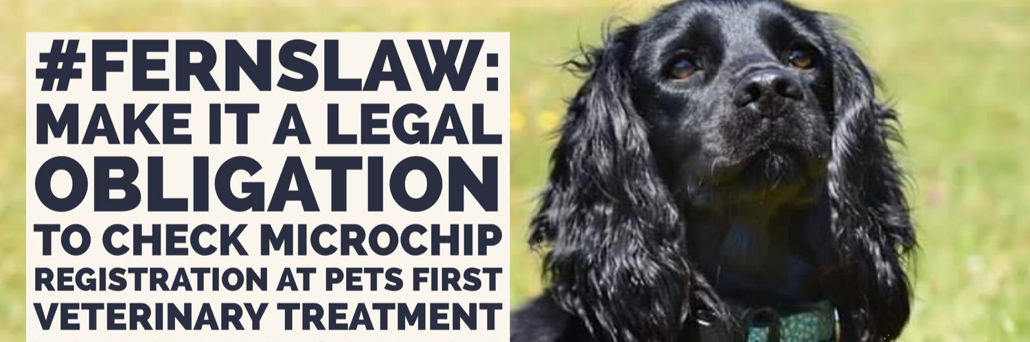 #FernsLaw 🐾❤️🐾 banner