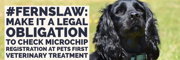 CheckThatChip Profile Banner