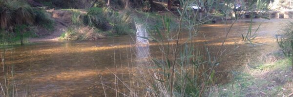 educ84equity Profile Banner