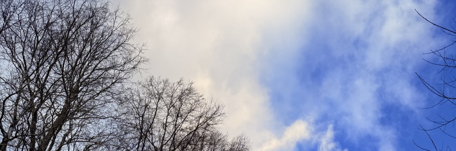 Daniel Chicahual banner