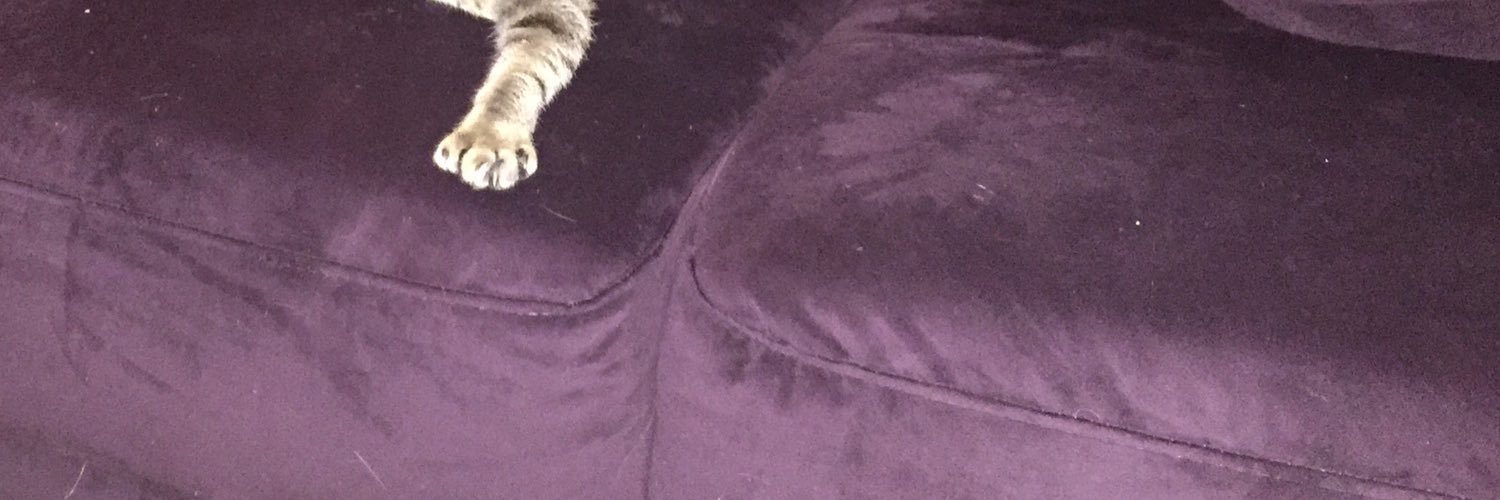 kellygraham's profile banner image