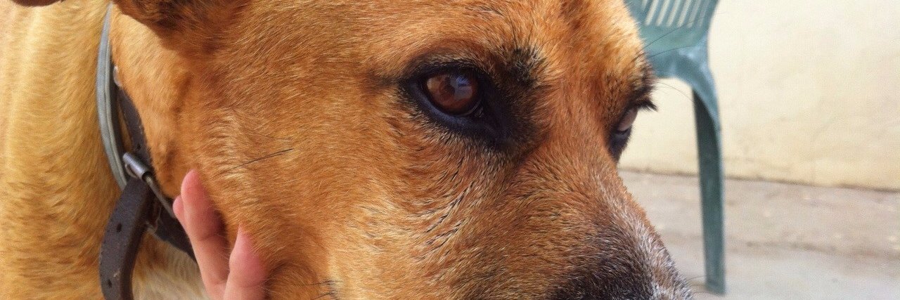 fotazo_'s profile banner image