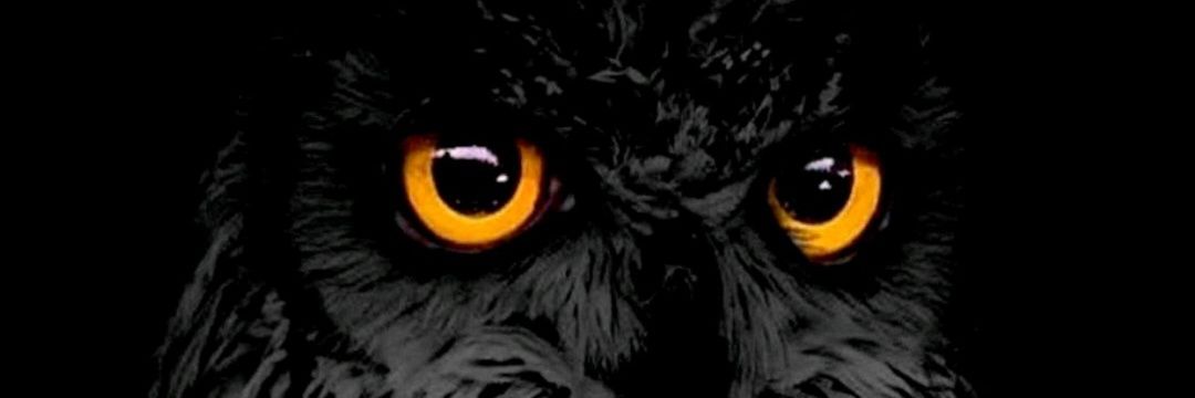 besstee_'s profile banner image