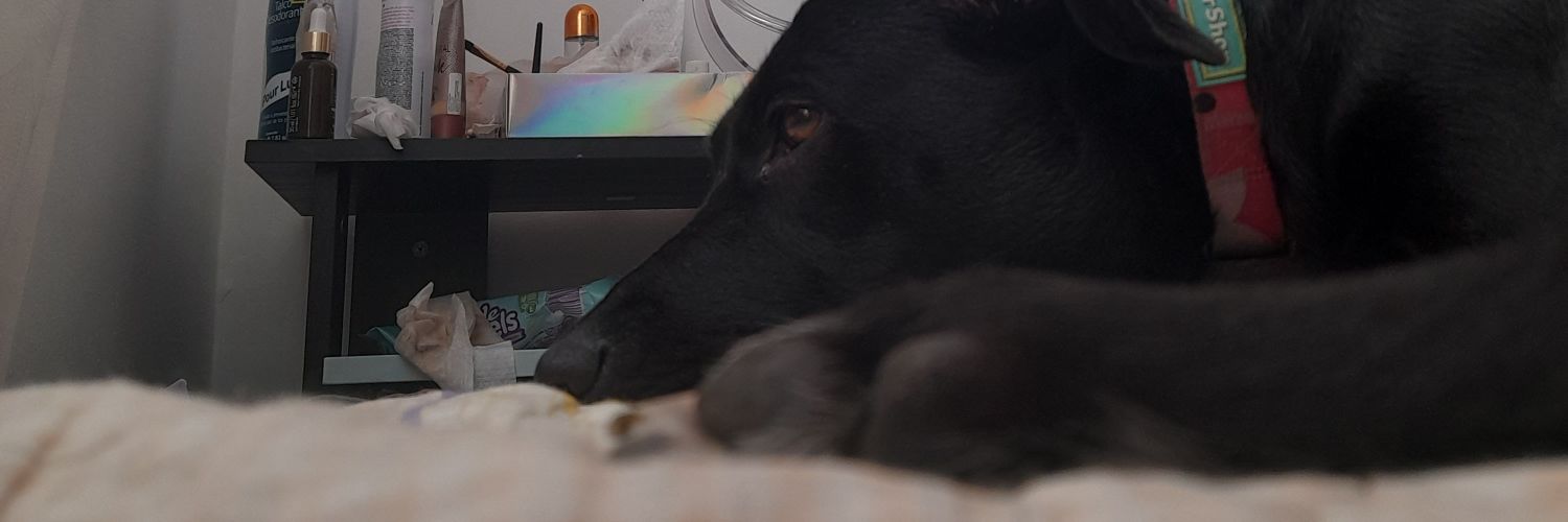 karen🧚‍♀️ banner