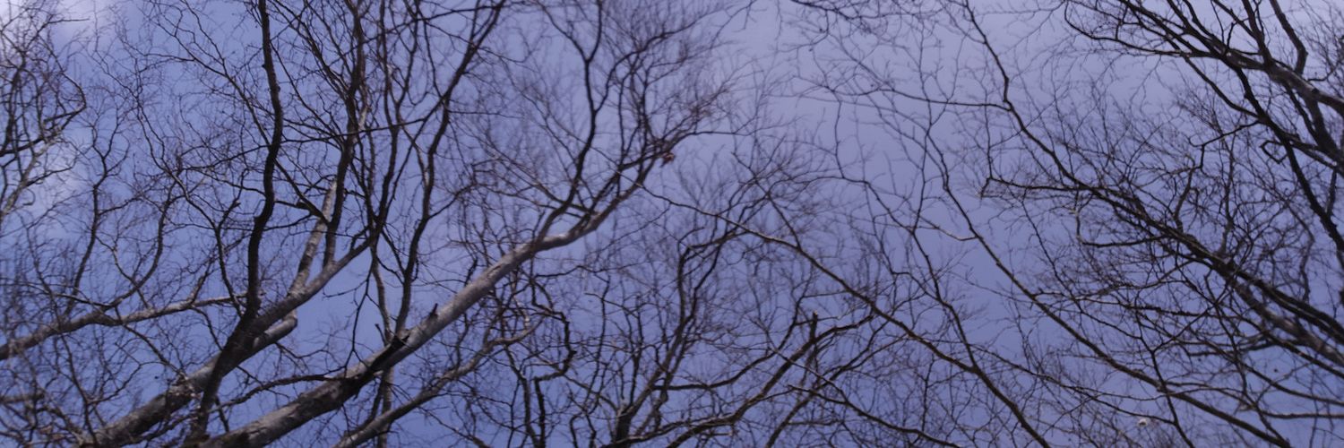 miseri_a's profile banner image