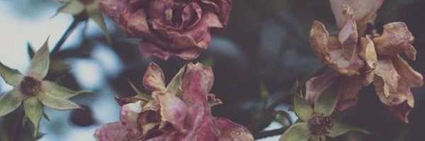 remingtongraves Profile Banner