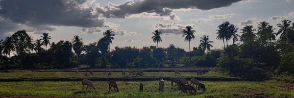 thevigneshwiki Profile Banner