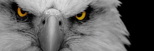 S513_com's profile banner image