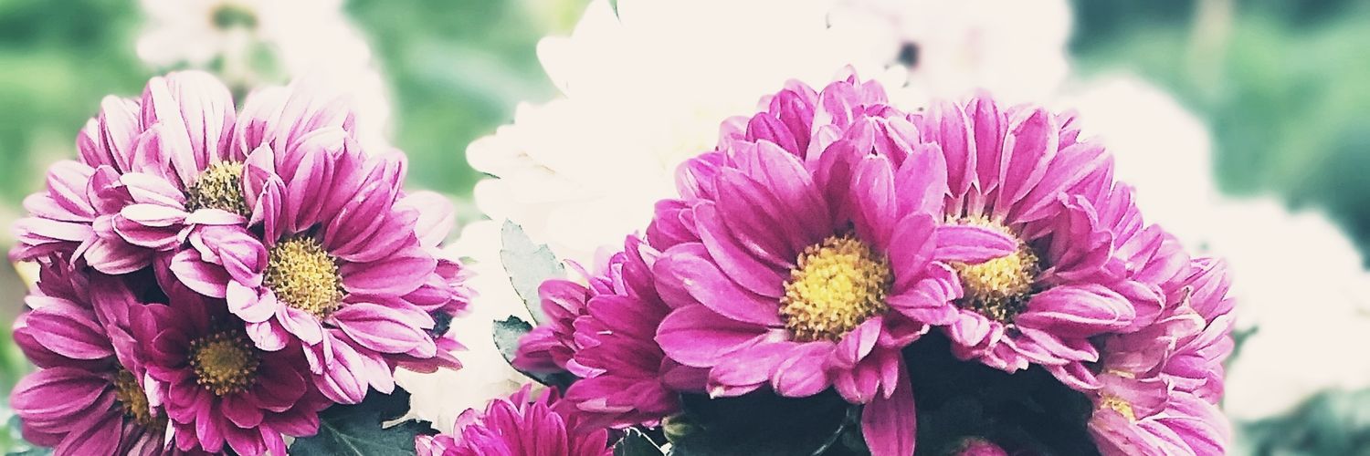 ainunff's profile banner image