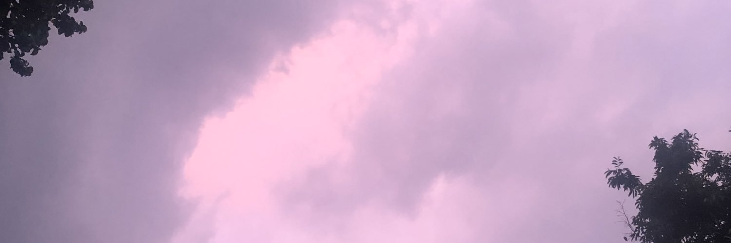 Dominik Tkac Sørensen banner