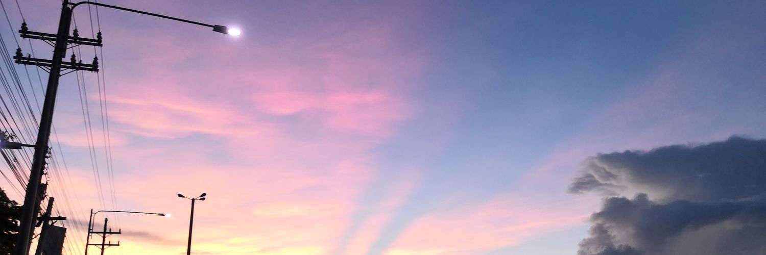 veennana's profile banner image