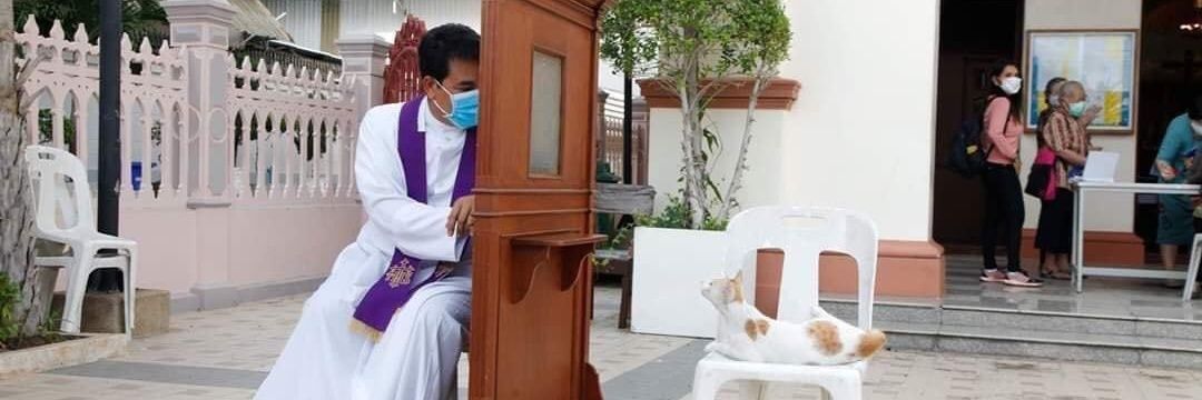 Madam💜Caty💜DellaPurrOficial ‏‎‎ن banner