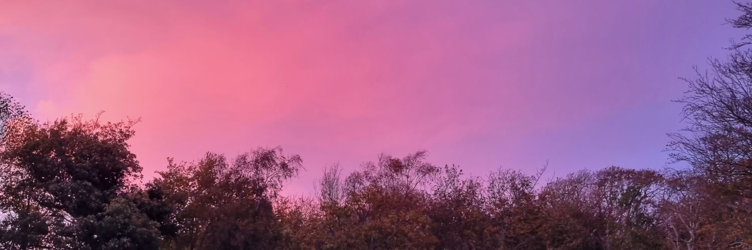 sometimesv_'s profile banner image