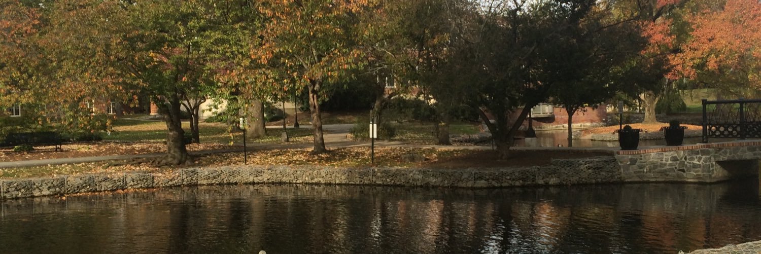 MsGrutza's profile banner image
