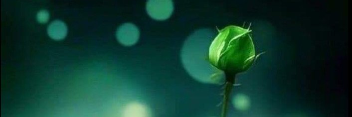 GREEEN_LION's profile banner image
