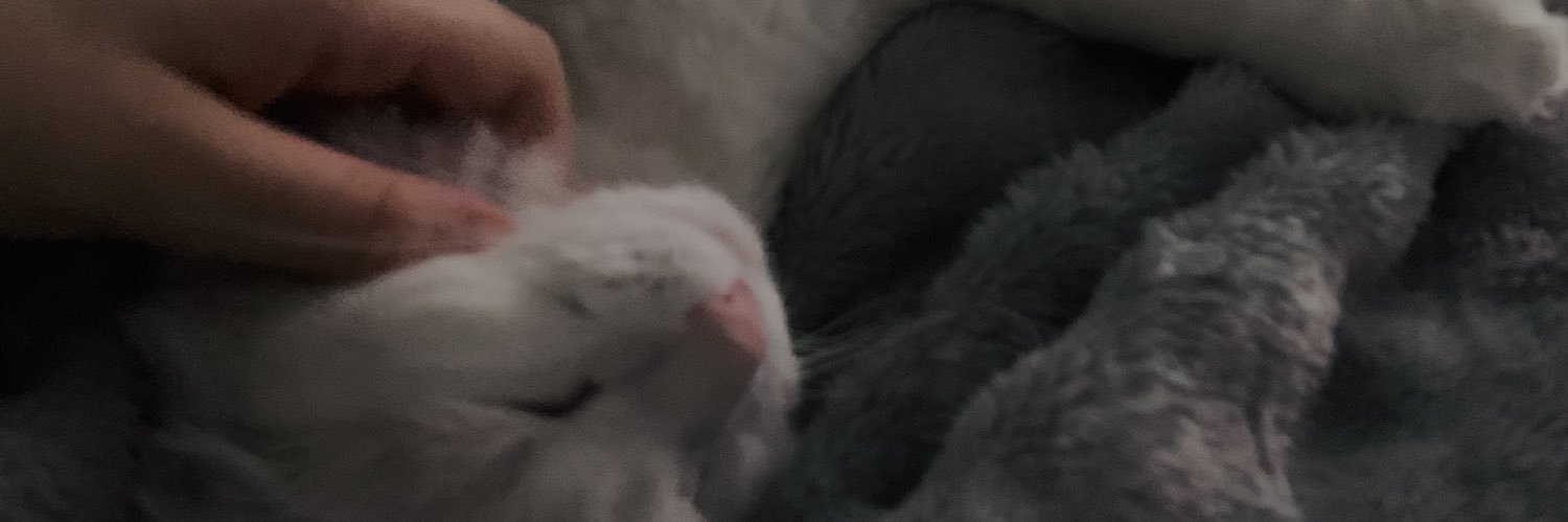 _pollooo's profile banner image