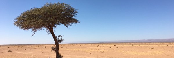 AidaTouihri Profile Banner