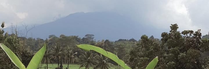 naastaar's profile banner image