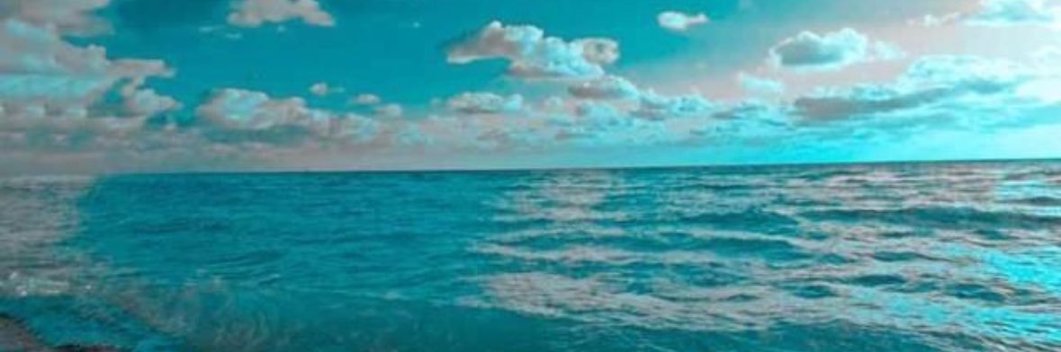 fly_mttm's profile banner image