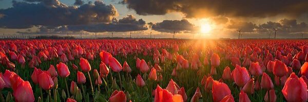 美樹 #TeamAIKAMU banner