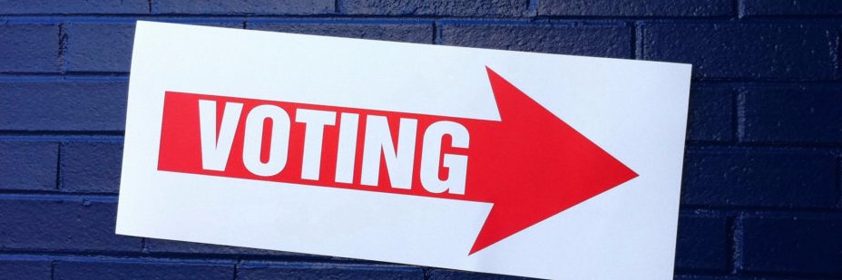 ProtectVoteTN's profile banner image