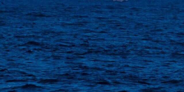 MoneSleem's profile banner image
