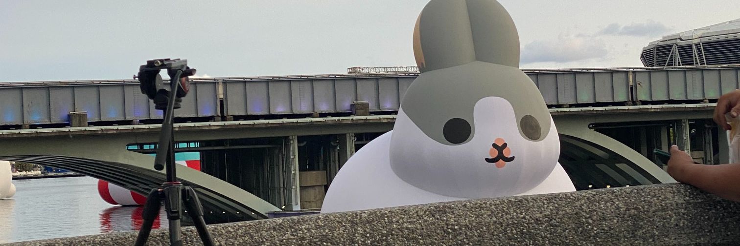 cilokpinky's profile banner image