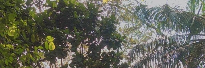 dikeeyyy's profile banner image