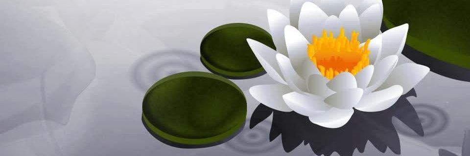 samar shekhar banner