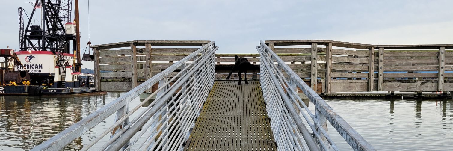 Y-C. 😶‍🌫️ banner