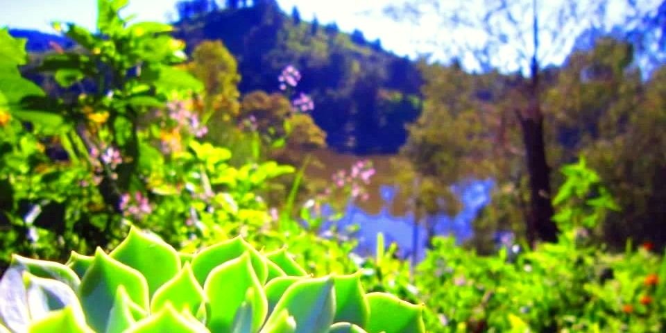 DCW_chy's profile banner image