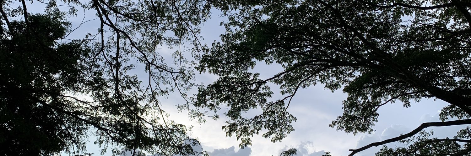 putuapps's profile banner image