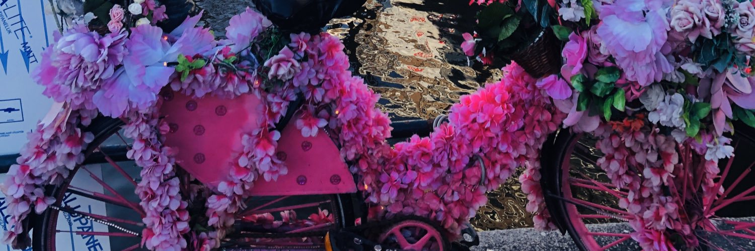 Frances Spurrier banner