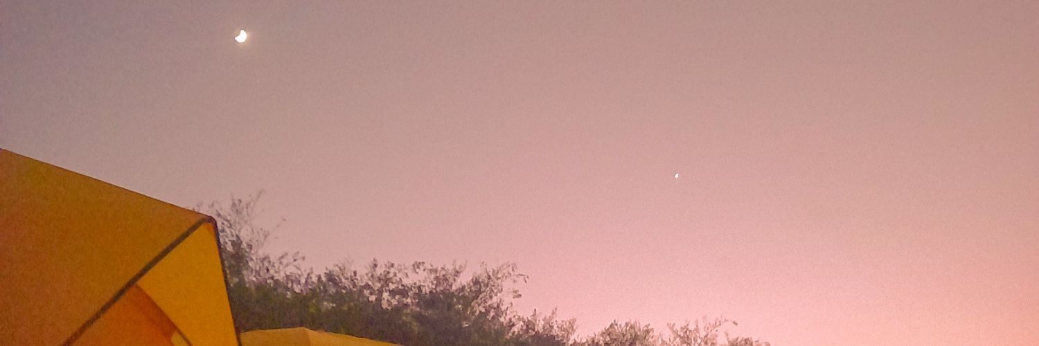 firyalinannisa's profile banner image