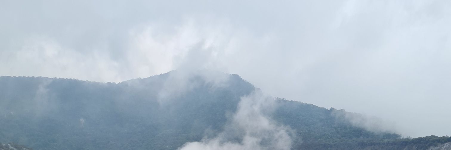Scarcelion's profile banner image