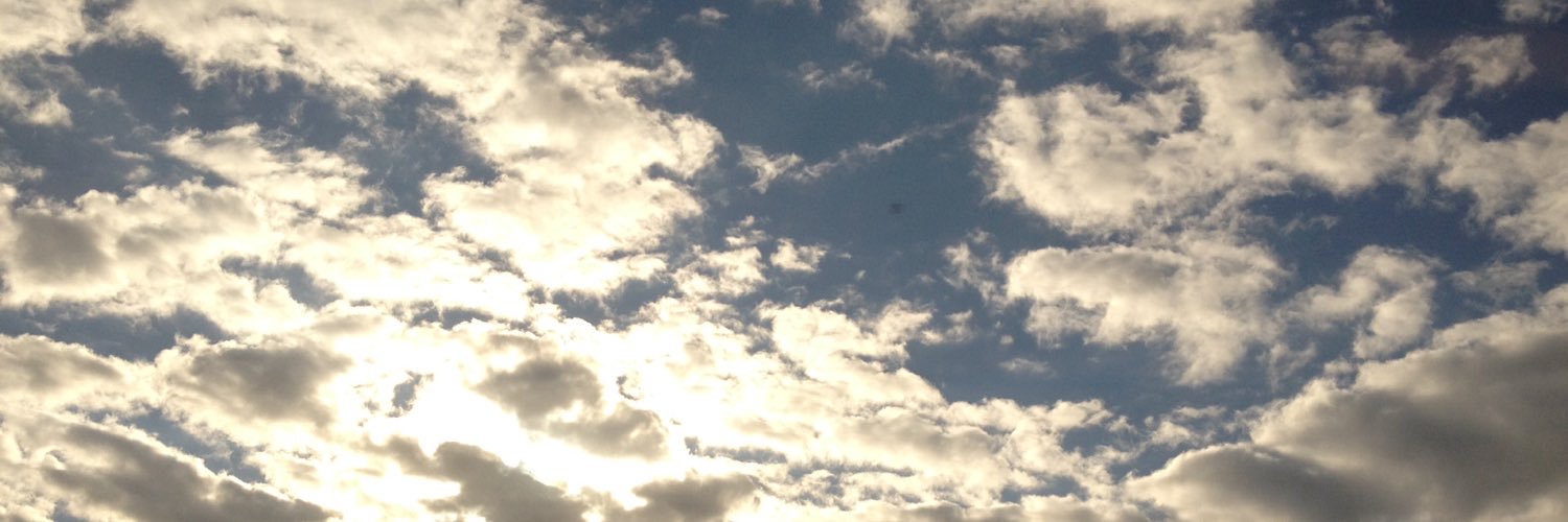 kosny_phoenix's profile banner image