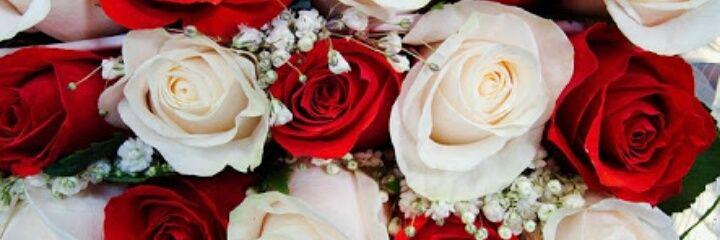 Fithrirahayu's profile banner image