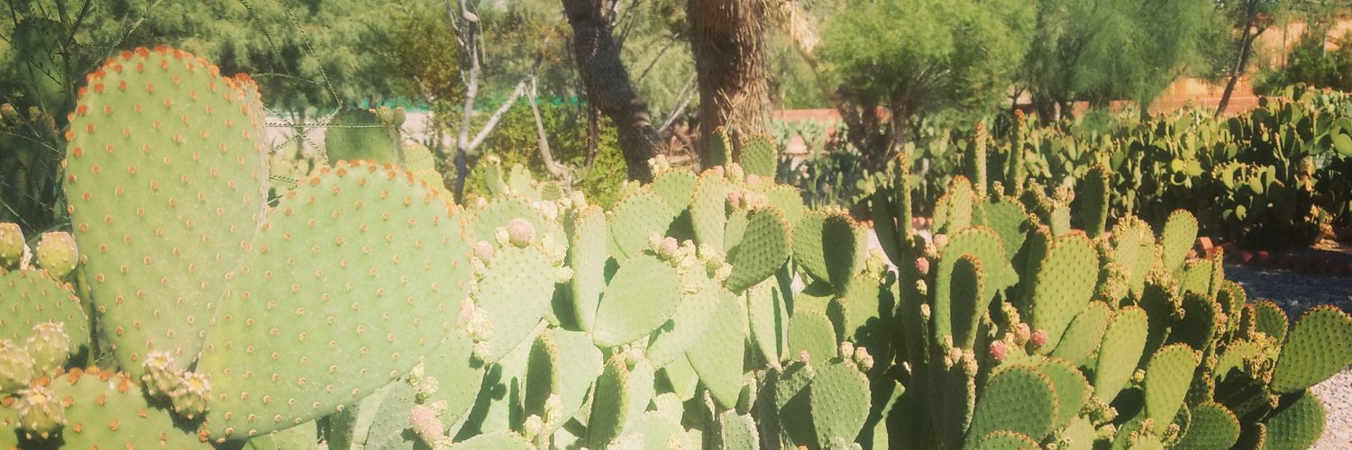 dec_van's profile banner image