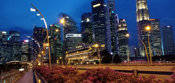zanfadli's profile banner image