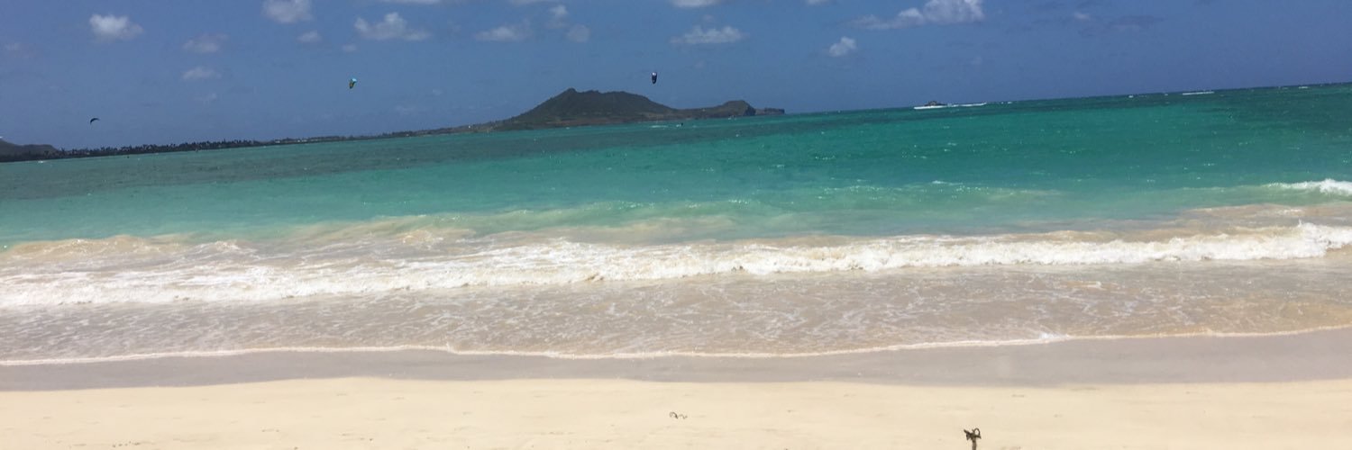 tnsdisk's profile banner image