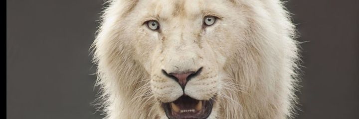 Muguy777's profile banner image