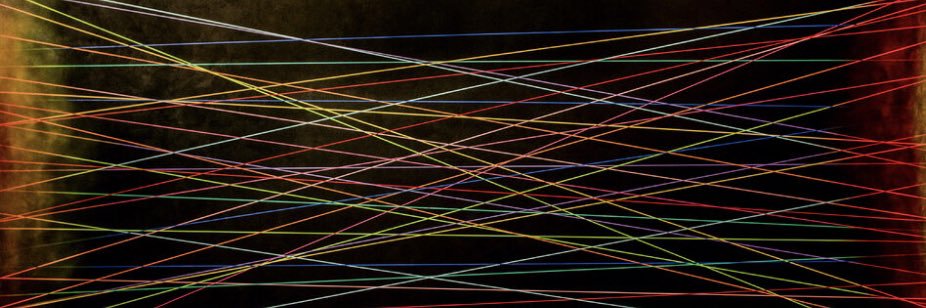 gato de bodega banner