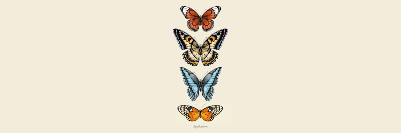 bea_gamiz's profile banner image