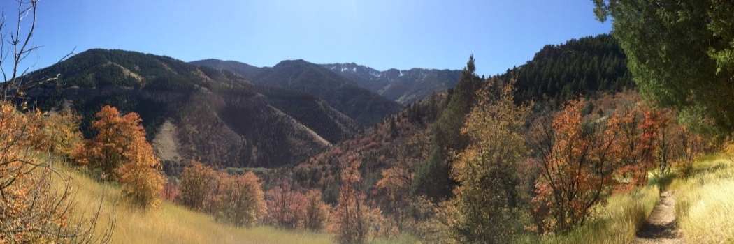 Daniel J. M. Fleming banner