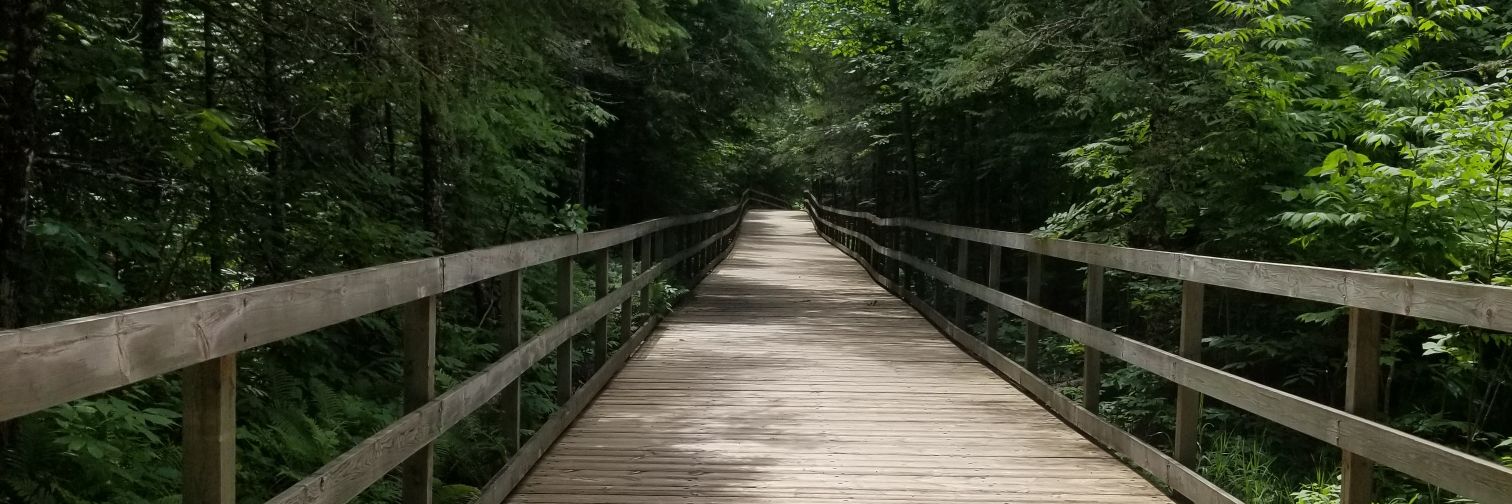 Josh Peterson banner