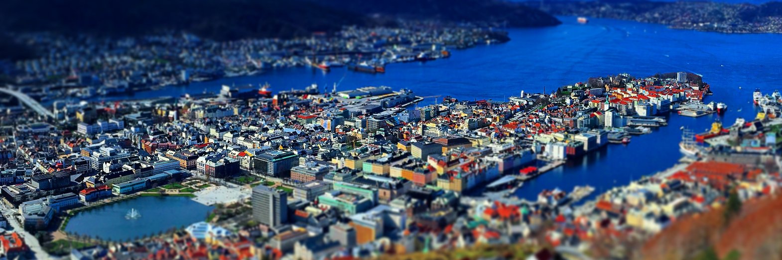 Shelton Stanislaus banner