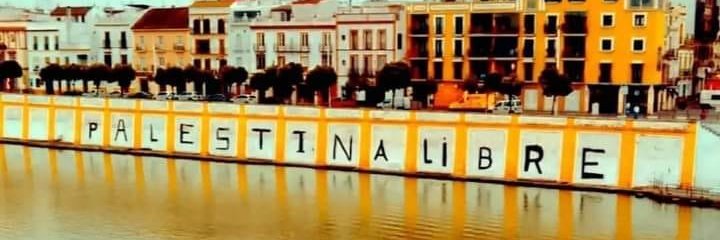 Nacho Molina ۞🇵🇸's banner